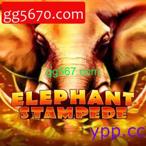 ElephantStampede